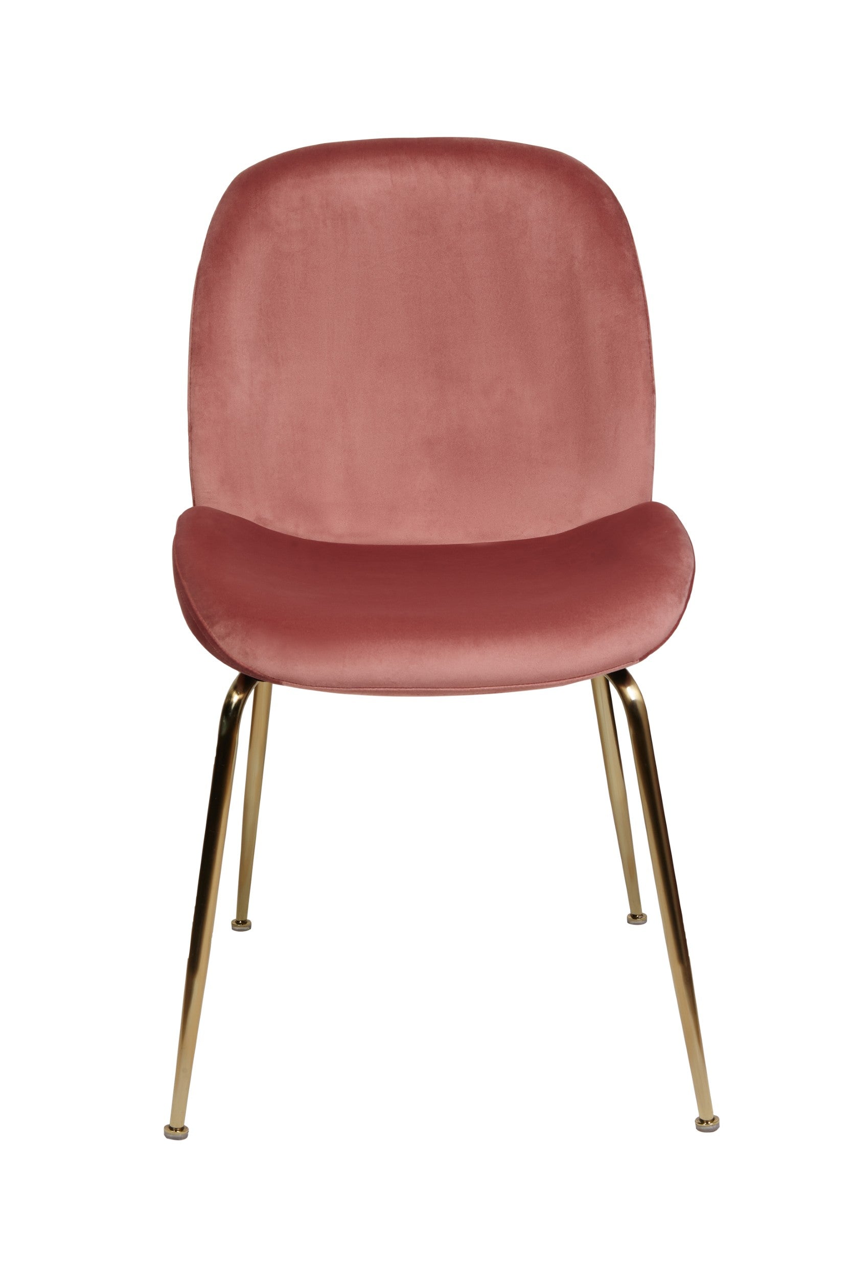 Velour Dining Chair Blush Velvet  And Gold Frame (Set of 2)