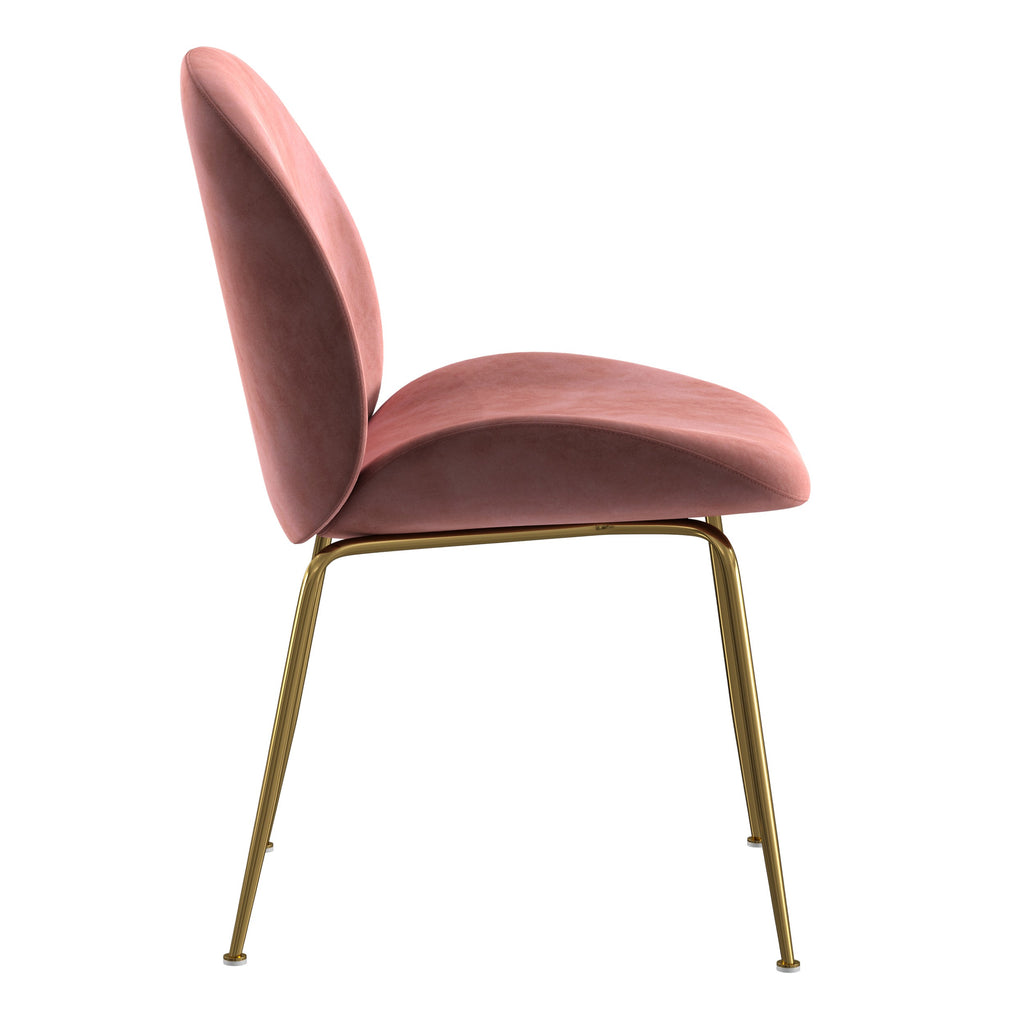 Velour Dining Chair Blush Velvet  And Gold Frame (Set of 2)