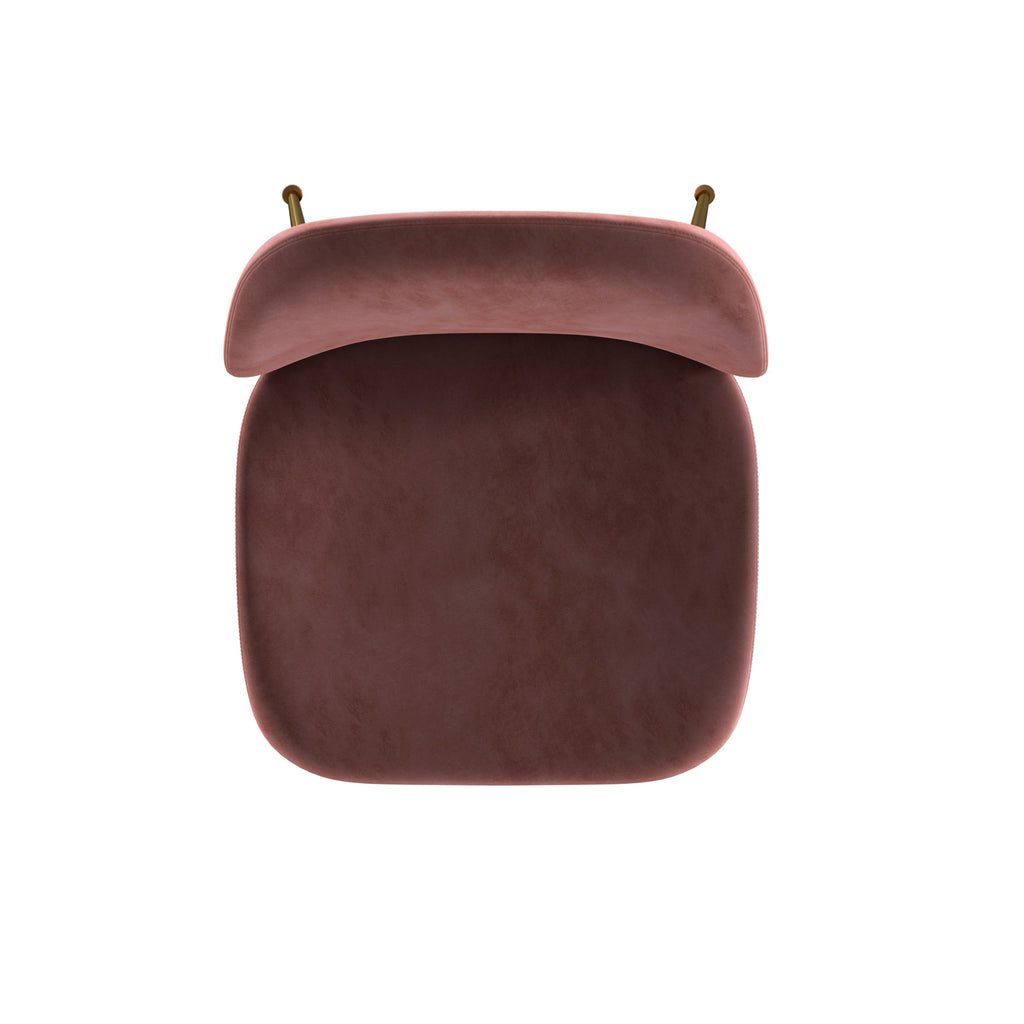 Velour Dining Chair Blush Velvet  And Gold Frame (Set of 2)
