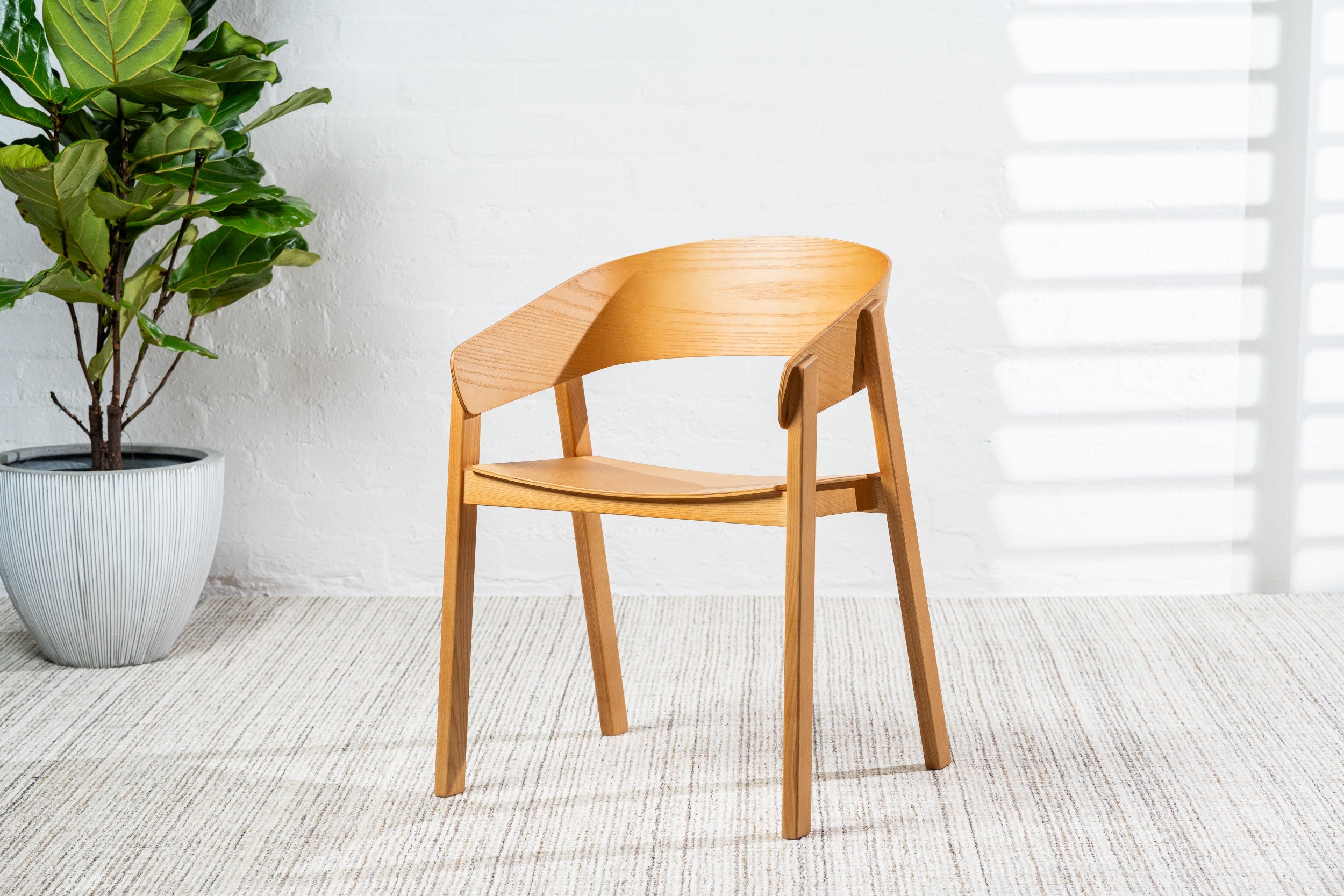 Ashen Dining Chair Ash (Set of 2)