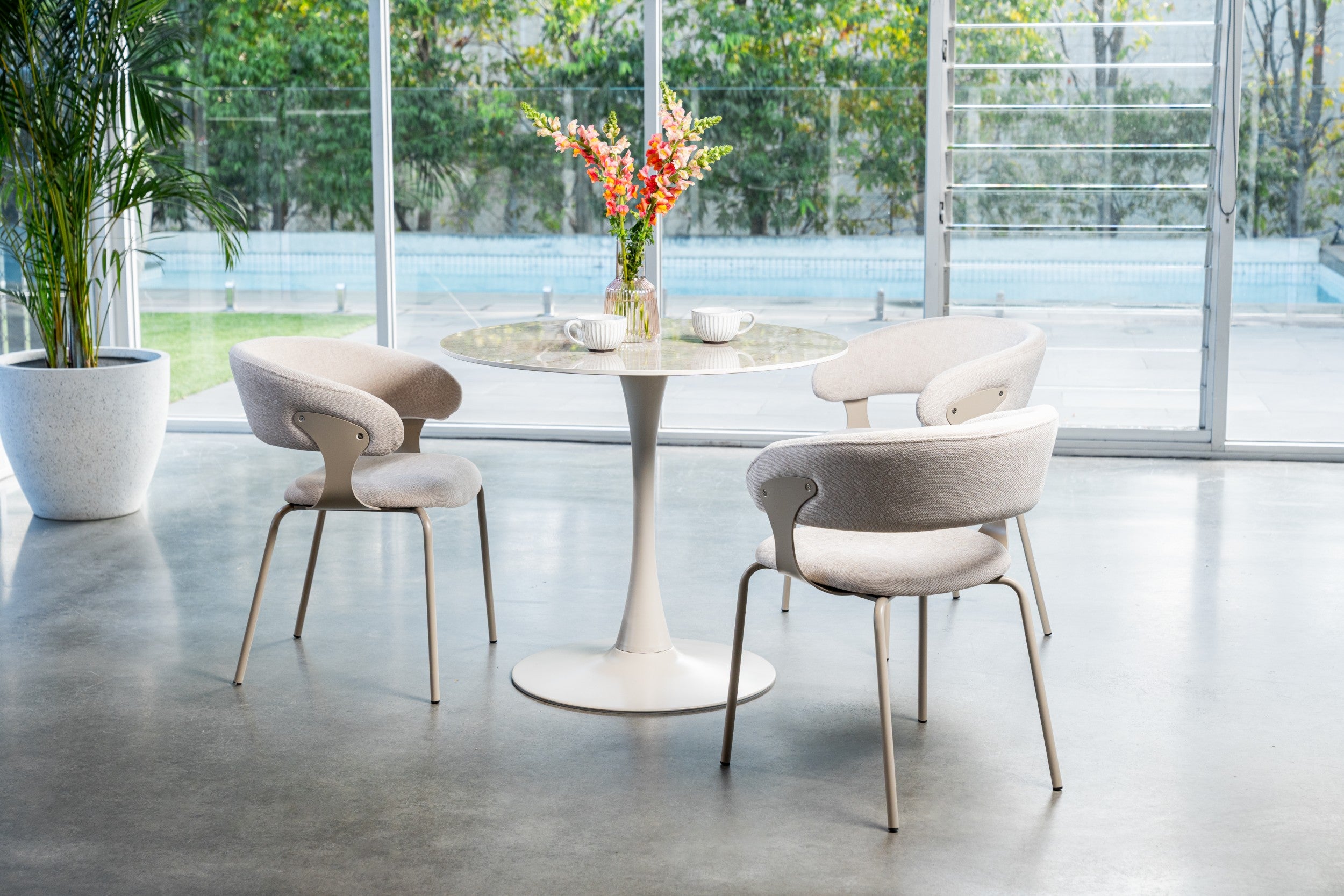 Latte Dining Chair Latte (Set of 2)