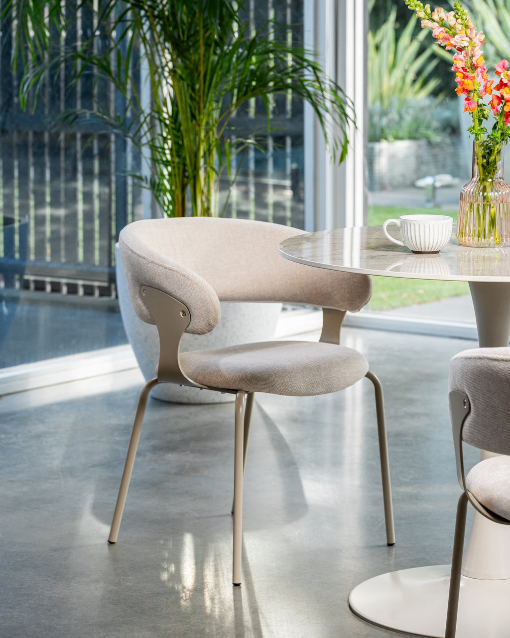 Latte Dining Chair Latte (Set of 2)